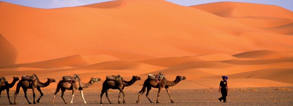 Viajar pelo deserto